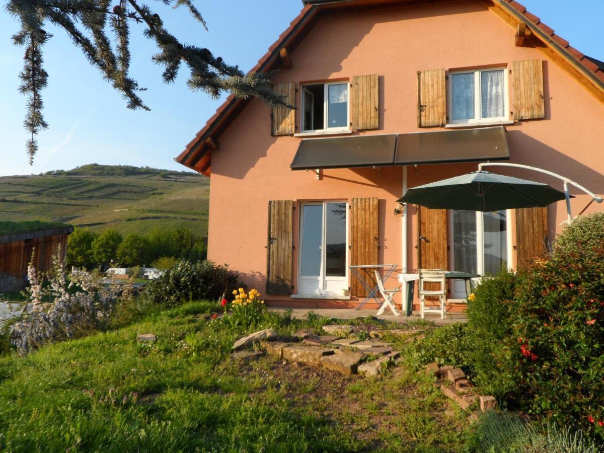 Apartmán Chez Le Vigneron Westhalten Exteriér fotografie