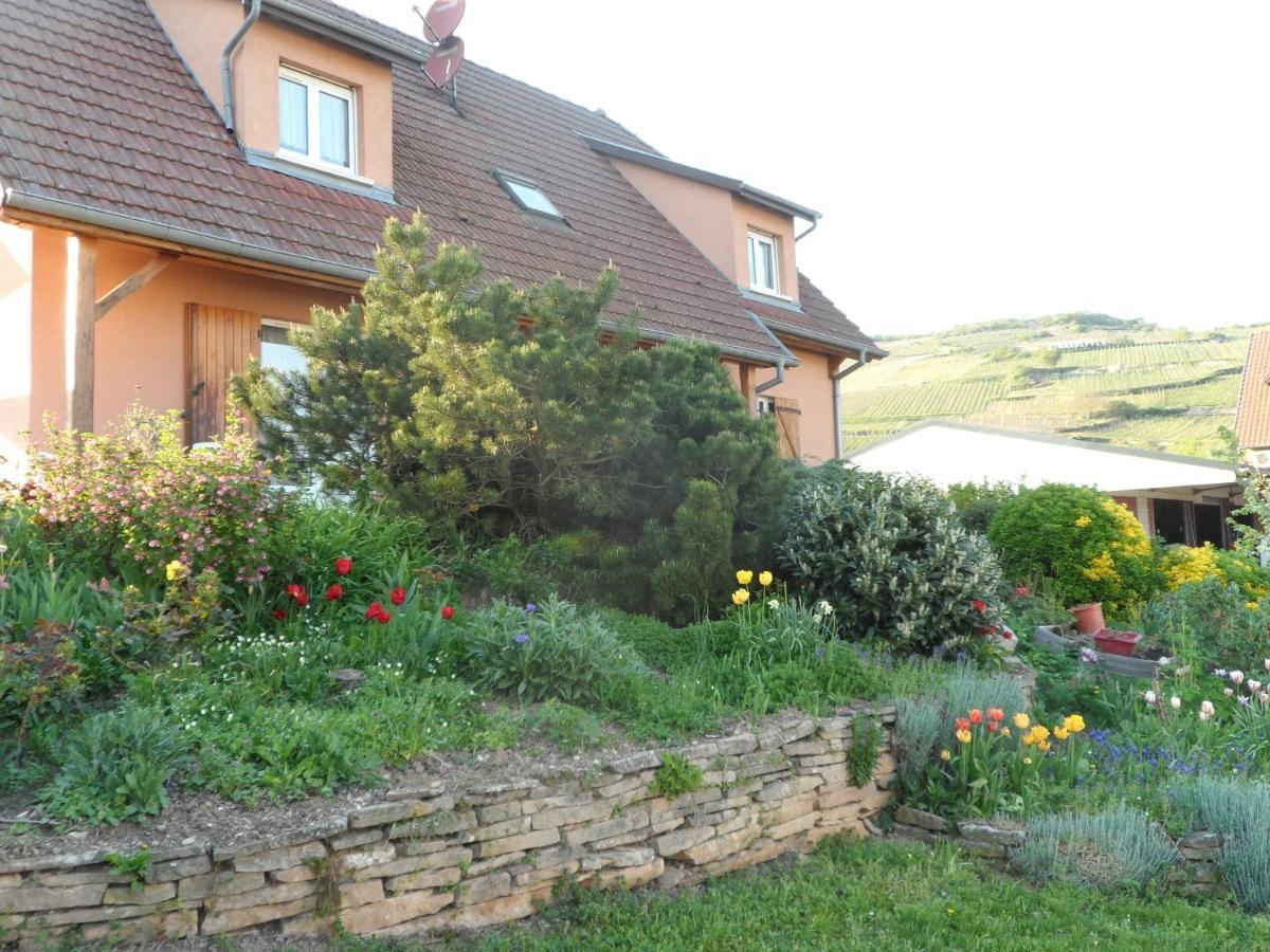 Apartmán Chez Le Vigneron Westhalten Exteriér fotografie