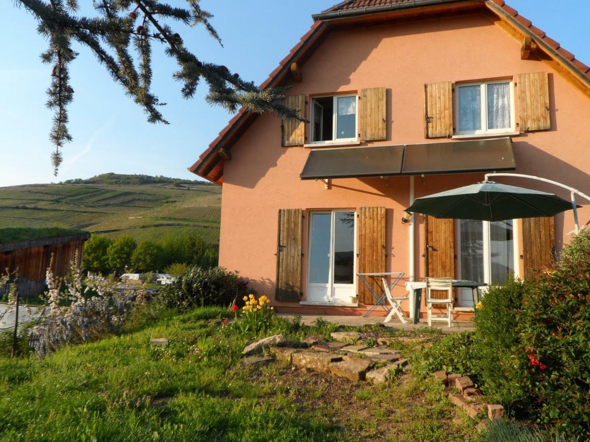 Apartmán Chez Le Vigneron Westhalten Exteriér fotografie